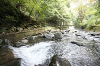 川釣り情報!